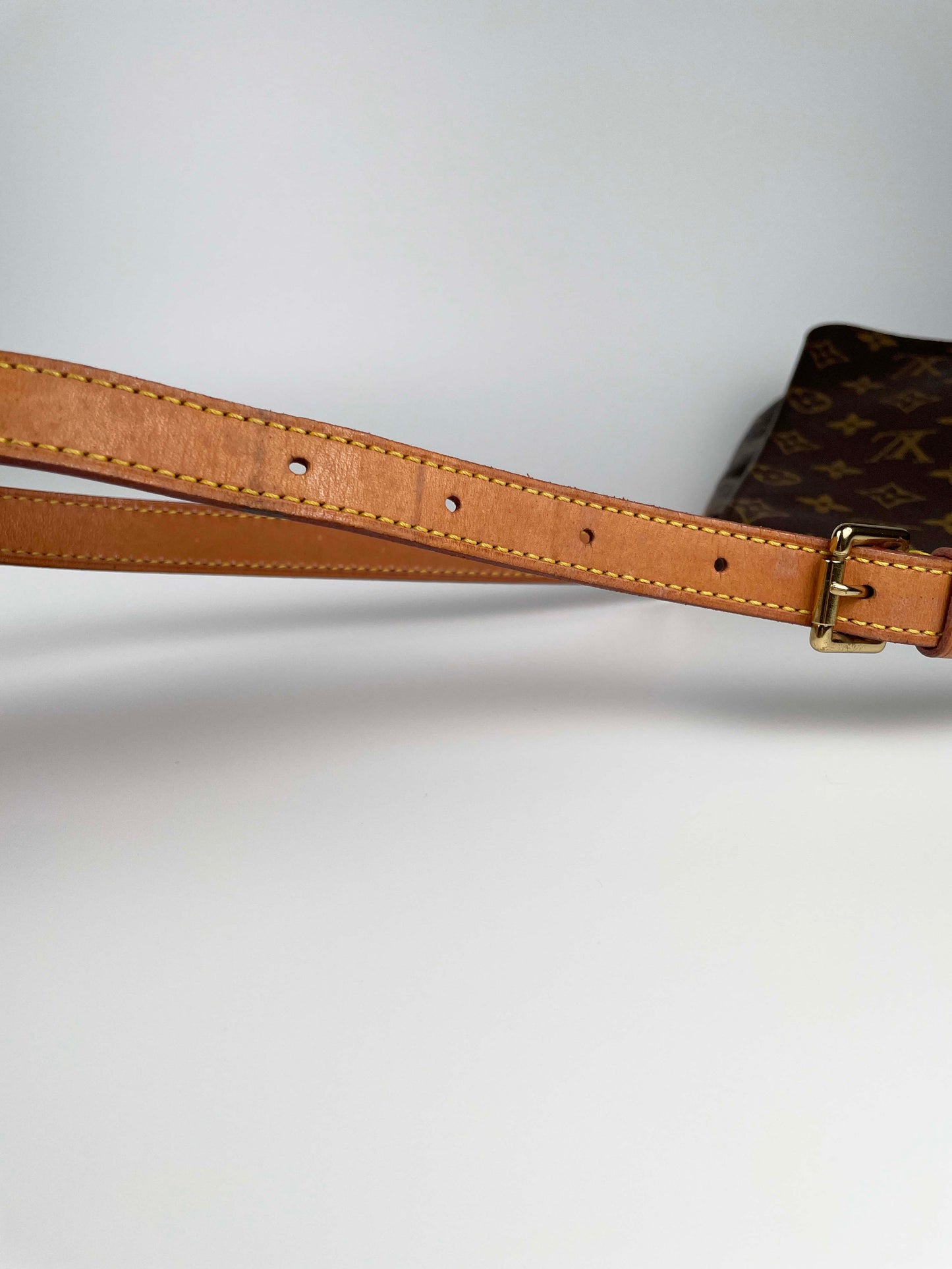 Musette Salsa PM - Monogram Canvas