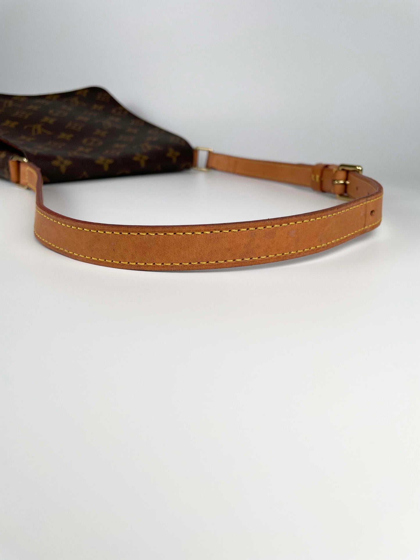 Musette Salsa PM - Monogram Canvas