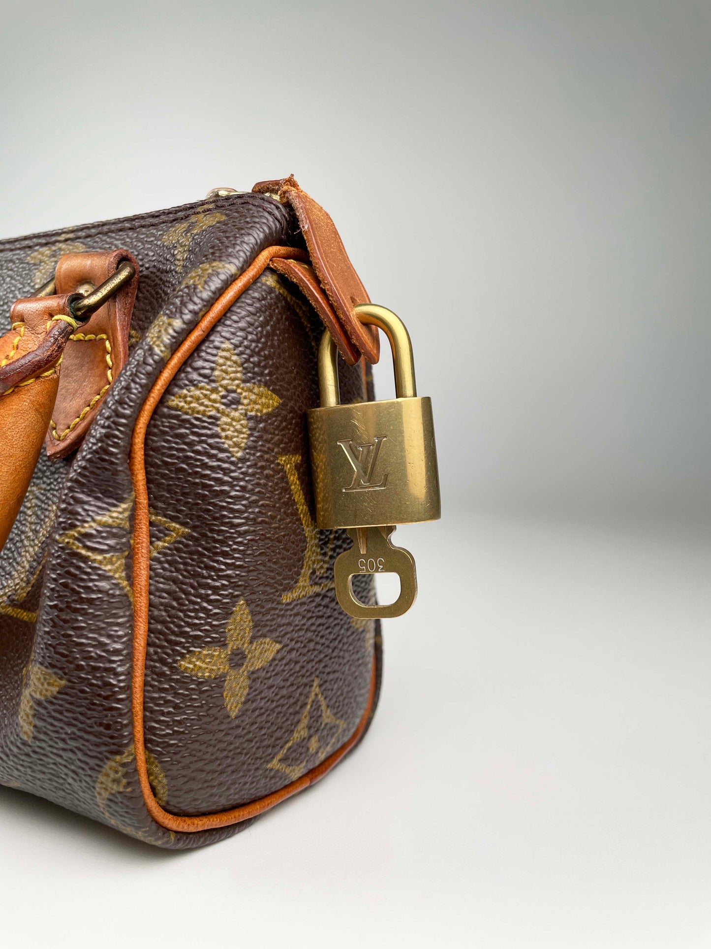 Mini HL (Speedy) - Monogram Canvas