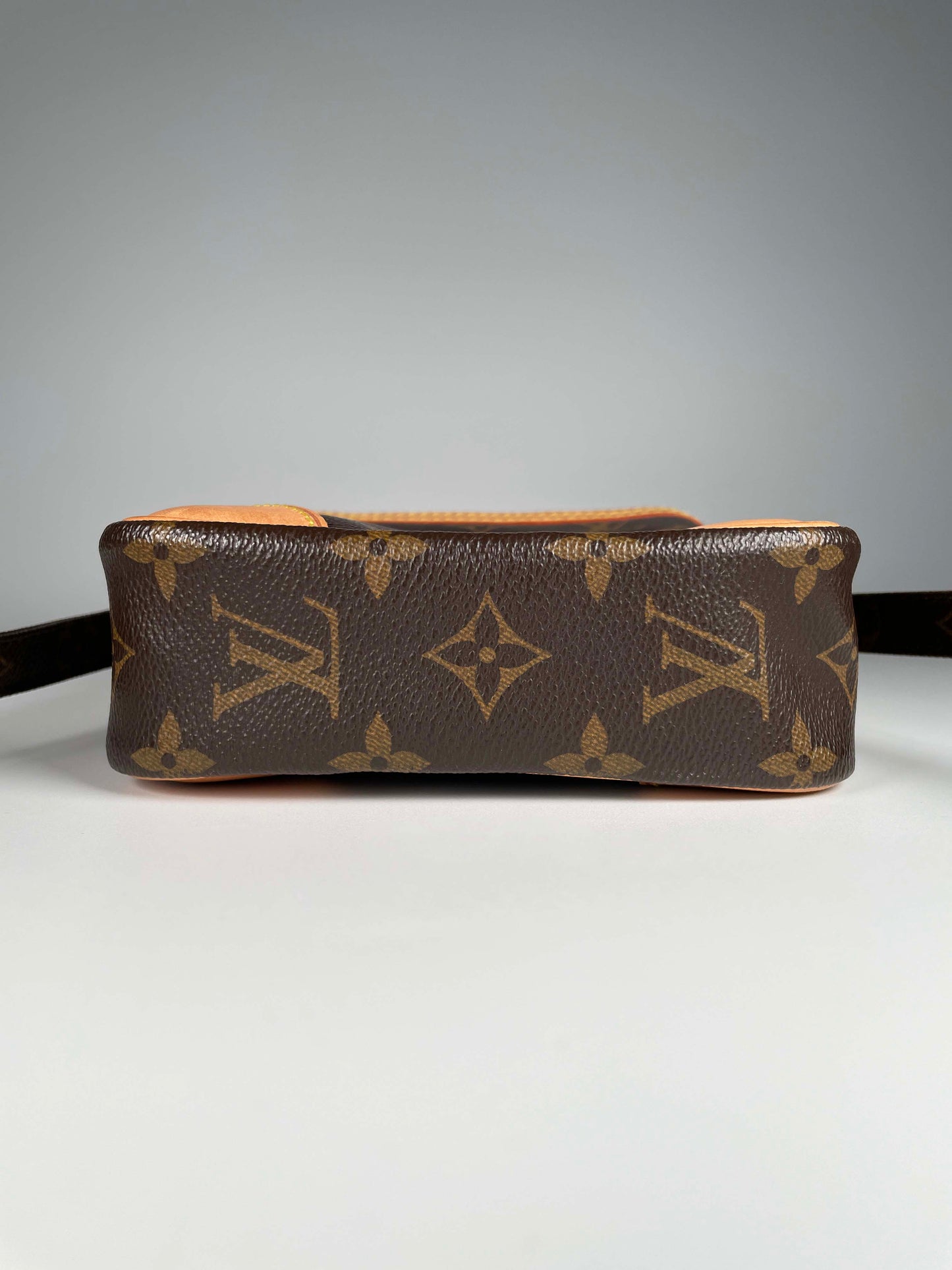 Danube - Monogram Canvas