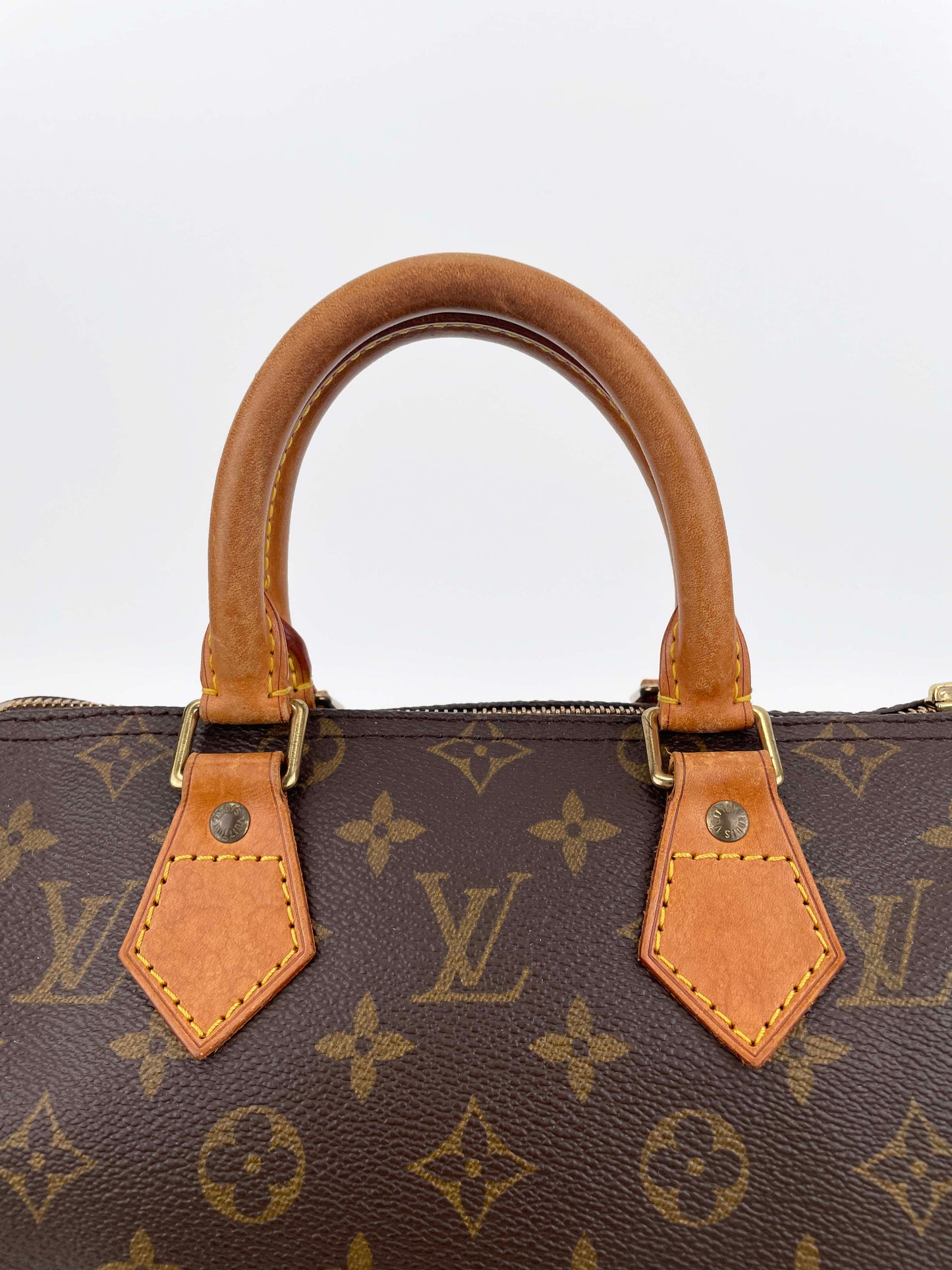 Speedy 25 - Monogram Canvas