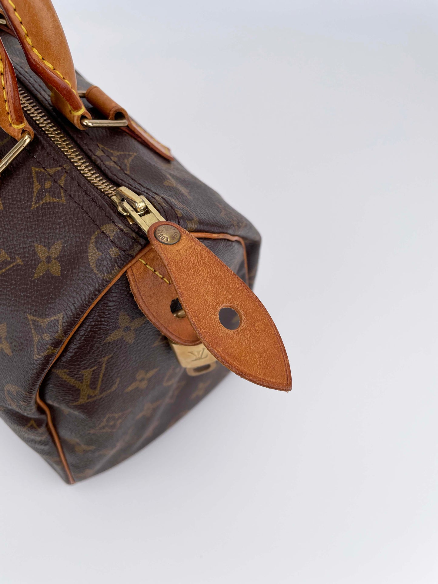 Speedy 25 - Monogram Canvas