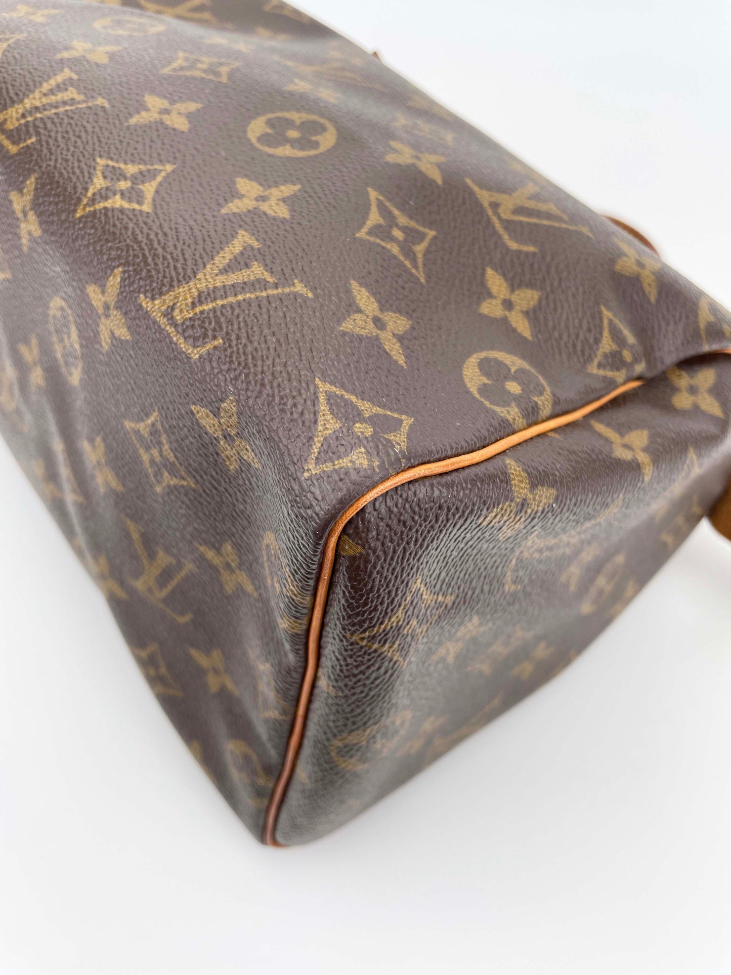 Speedy 25 - Monogram Canvas