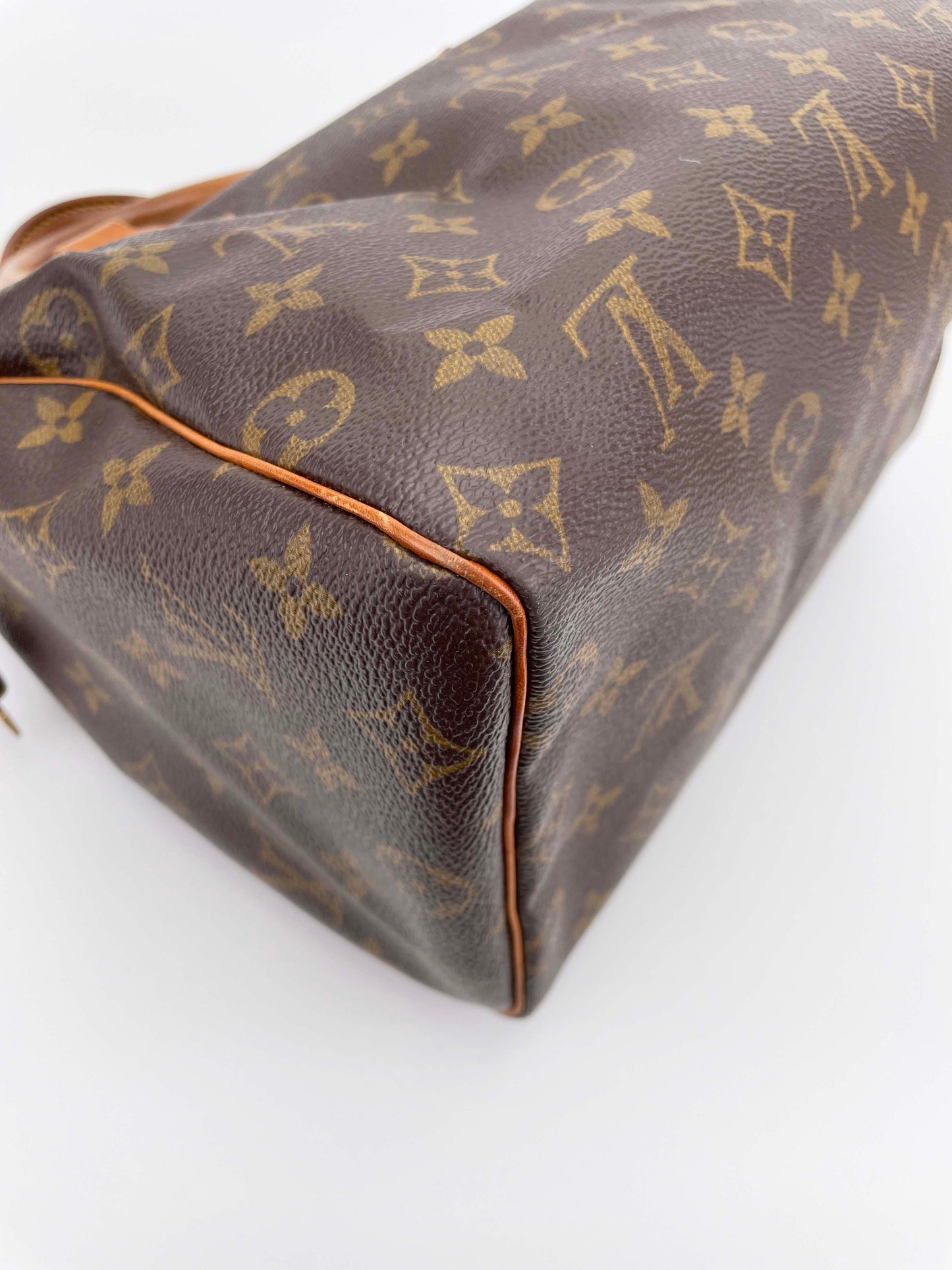 Speedy 25 - Monogram Canvas