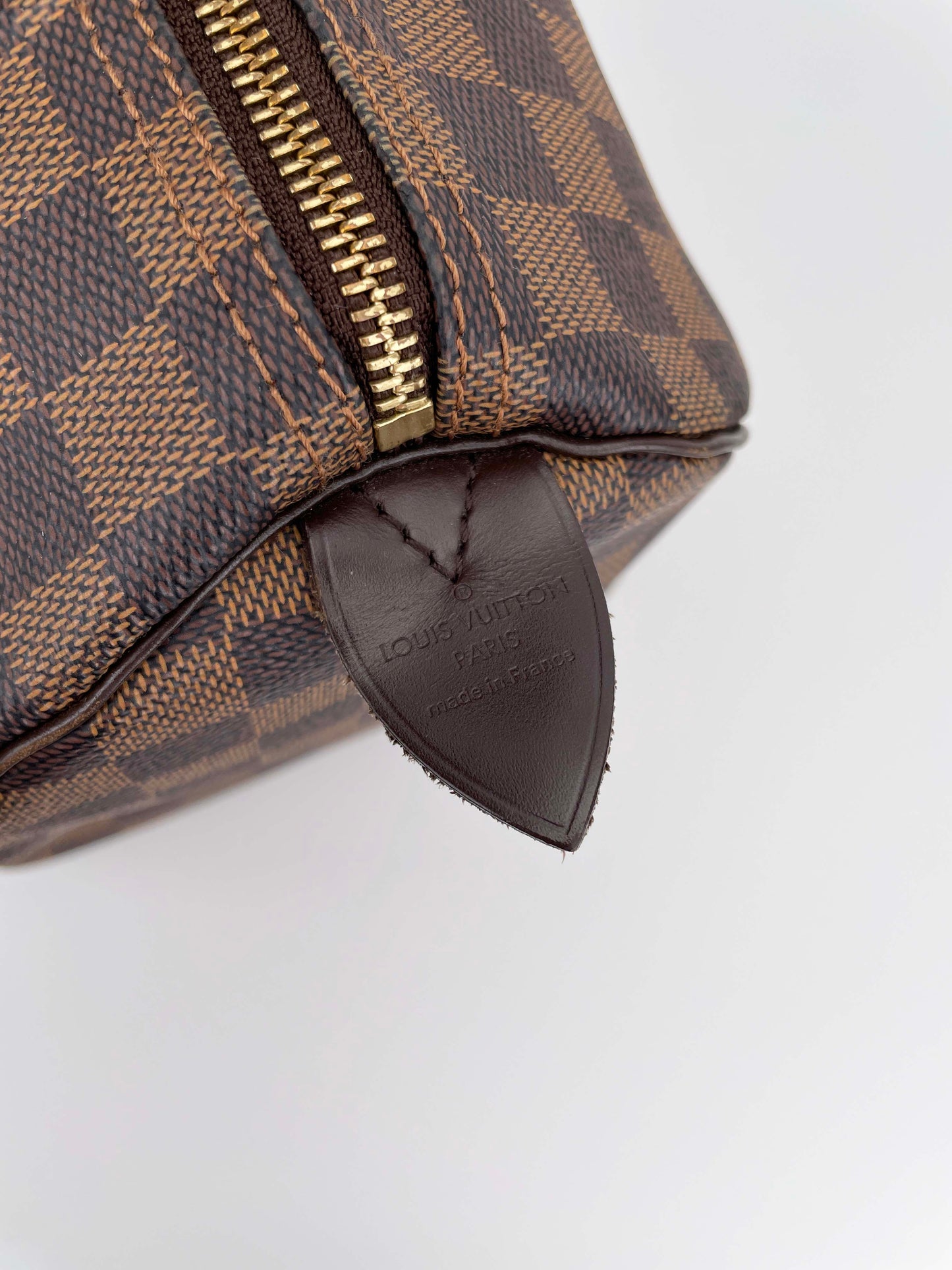 Speedy 30 - Damier Ebene Canvas