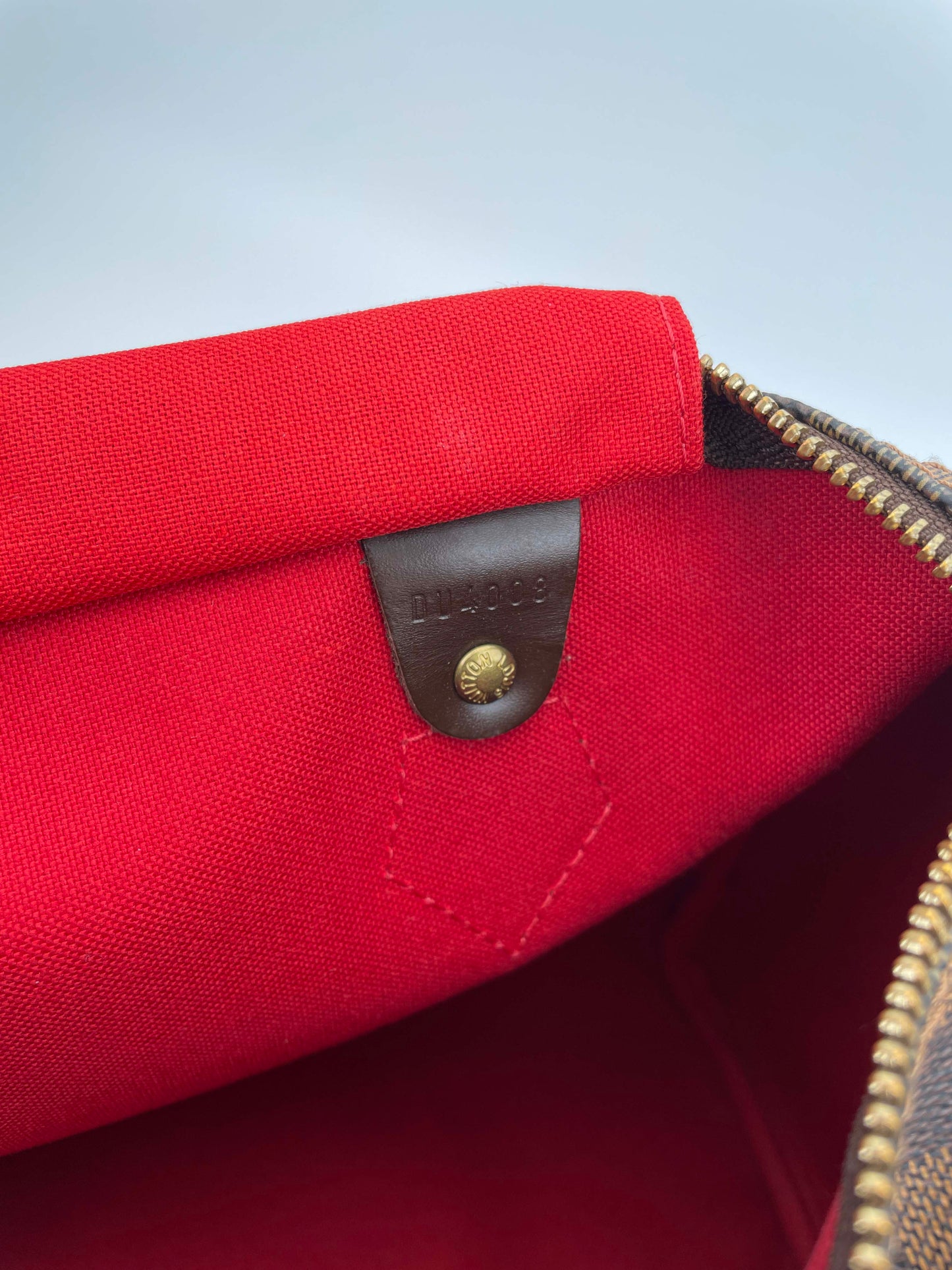 Speedy 30 - Damier Ebene Canvas