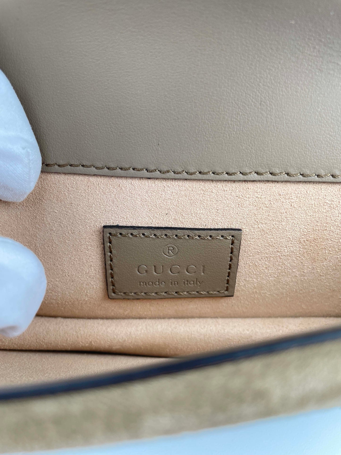 Dionysus Mini - GG Supreme-Canvas