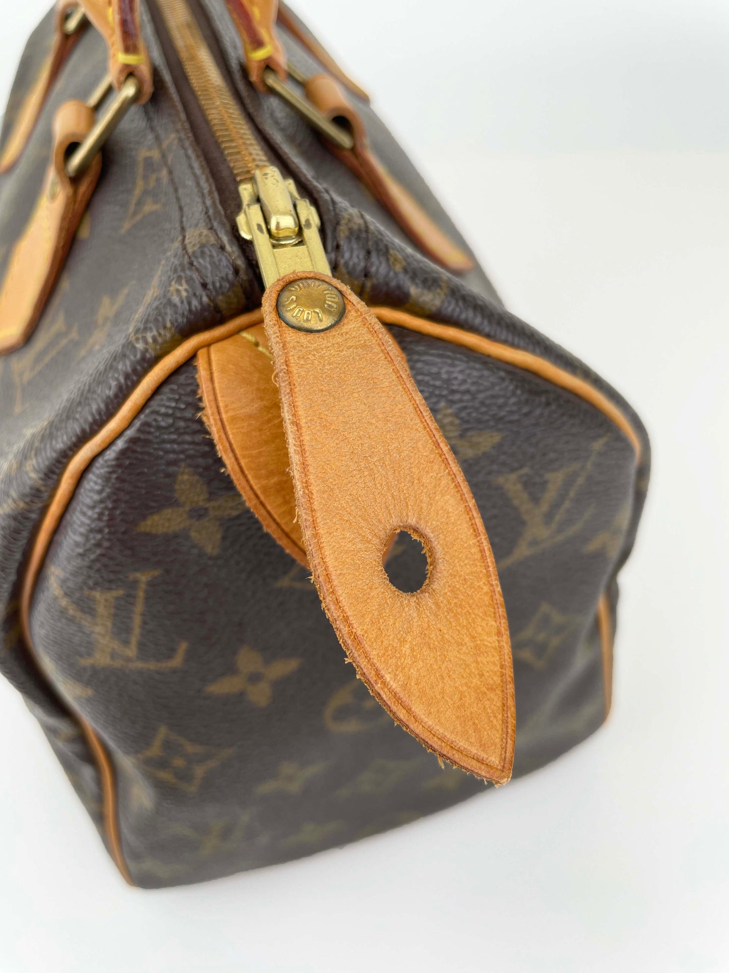 Speedy 25 - Monogram Canvas
