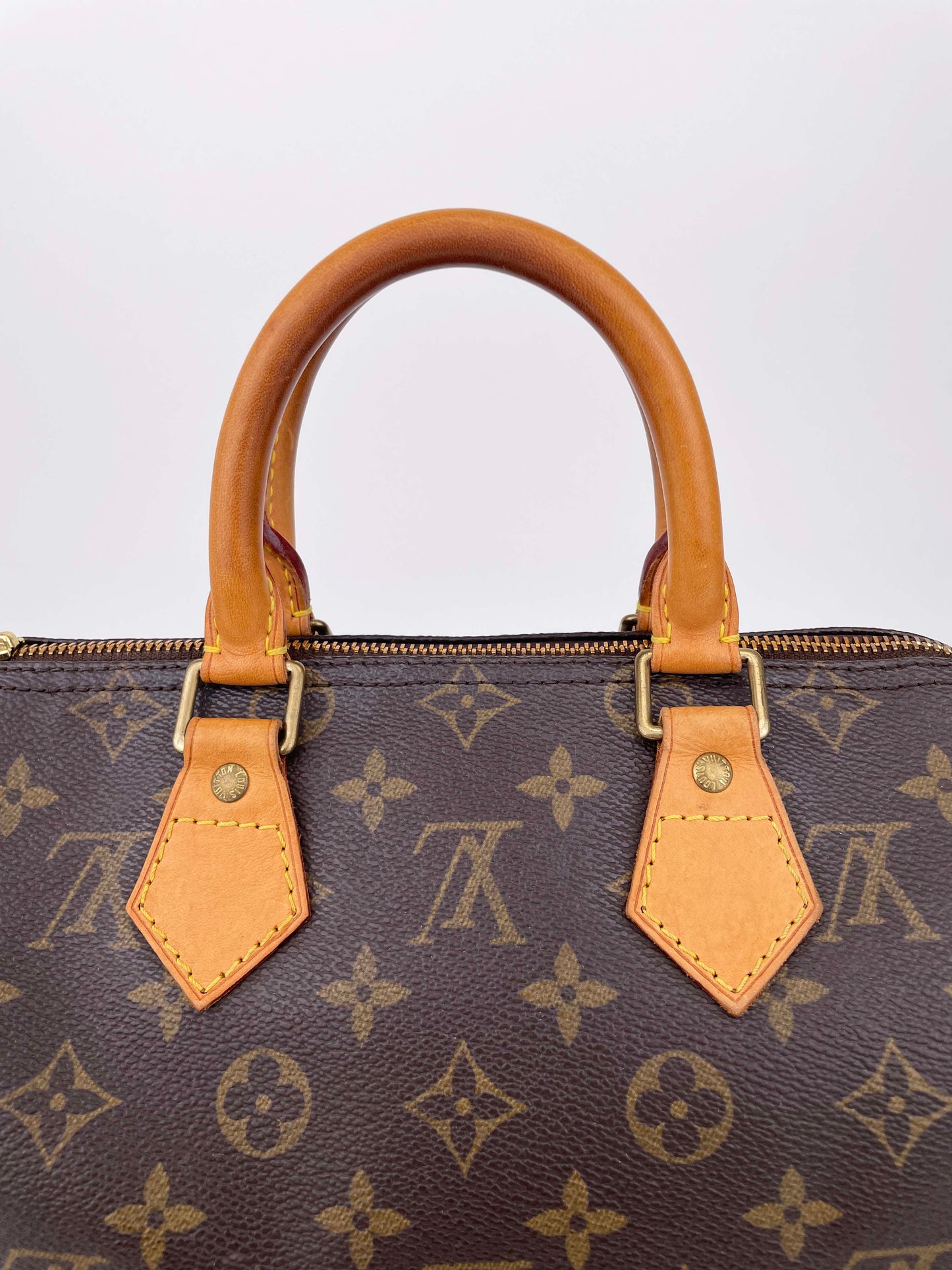 Speedy 25 - Monogram Canvas