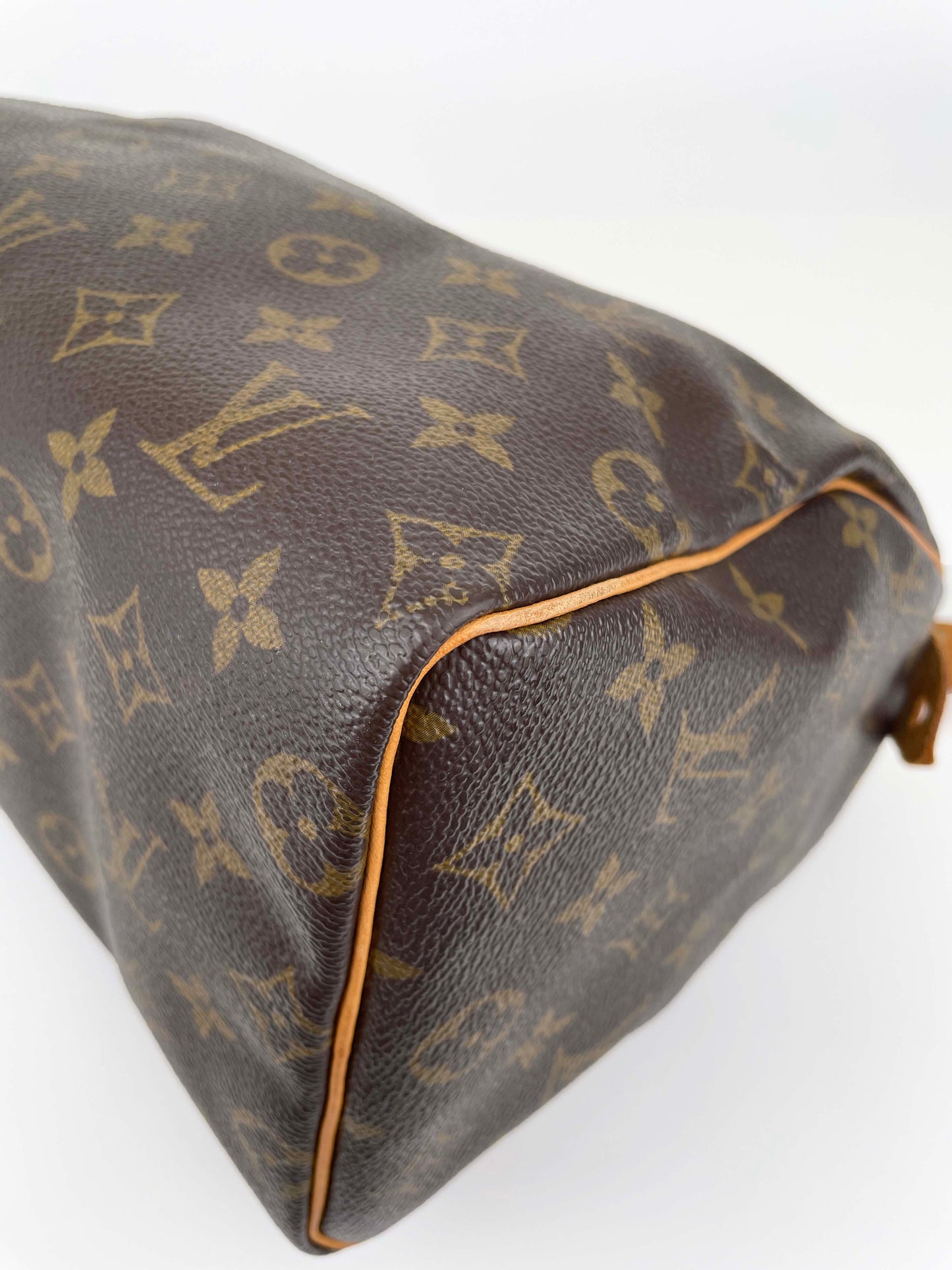 Speedy 25 - Monogram Canvas