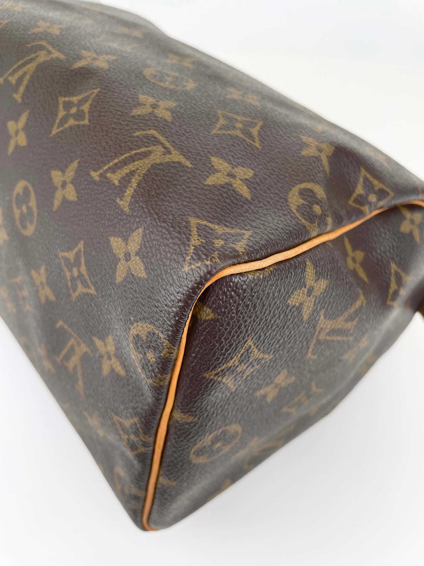 Speedy 25 - Monogram Canvas