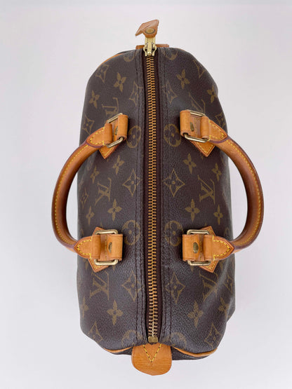 Speedy 25 - Monogram Canvas