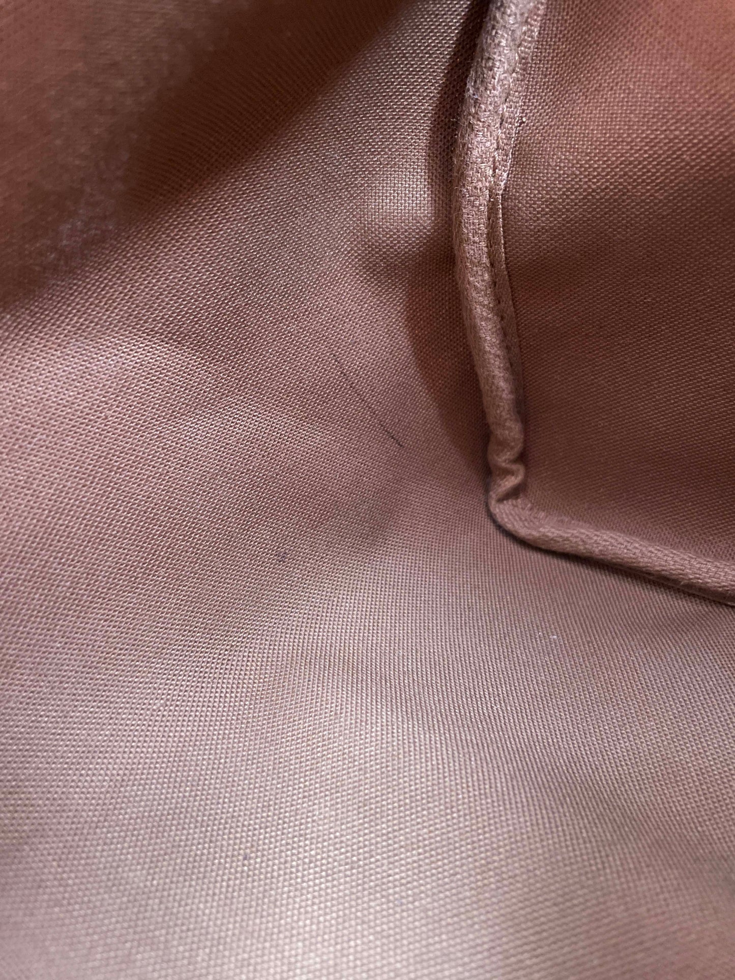 Speedy 25 - Monogram Canvas
